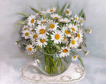 Без бренда «2KMA-0021» в Оренбурге