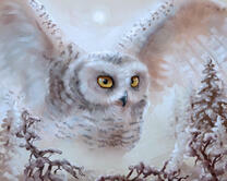 Без бренда «2KMB-3848» в Оренбурге