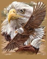 Без бренда «2KMB-4315» в Оренбурге