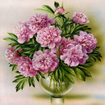 Без бренда «2KQB-0094» в Оренбурге