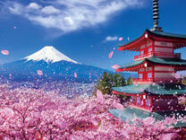 Без бренда «2KSB-7277» в Оренбурге