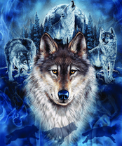 Без бренда «2KXSB-0687» в Оренбурге