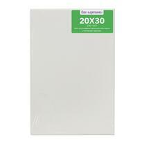 Без бренда «Коробка 80 шт.: Холст Две картинки на подрамнике 20X30» в Оренбурге