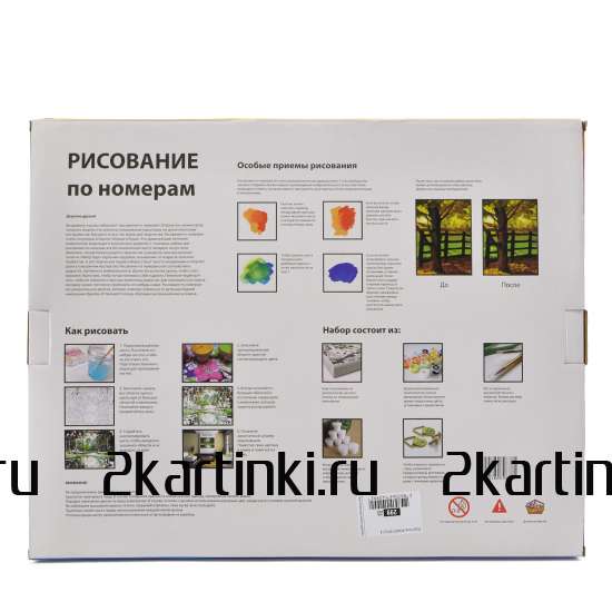 Картина 30x40 WB8023 Девушка с розовой розой на голове за 410 руб. в интернет-магазине Картина 30x40 Девушка с розовой розой на голове