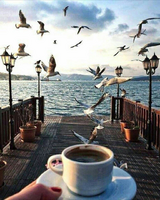 Без бренда «BOX20-2KMB-1952» в Оренбурге