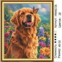 Без бренда «HWA6726» в Оренбурге