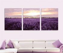 Лавандовое поле на закате