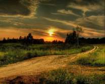 Без бренда «Проселочная дорога на закате» в Оренбурге