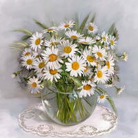 Без бренда «Букет свежих ромашек» в Оренбурге в интернет-магазине  Без бренда «Букет свежих ромашек» в Оренбурге