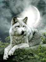 Без бренда «Коробка 25 шт. картин по номерам BOX25-GX21058» в Оренбурге в интернет-магазине Без бренда «Коробка 25 шт. картин по номерам BOX25-GX21058» в Оренбурге