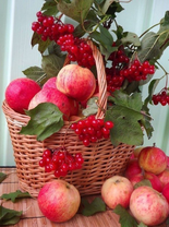 Без бренда «Коробка 25 шт. картин по номерам BOX25-GX5174» в Оренбурге