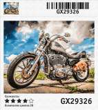 Картина по номерам 40x50 Мотоцикл harley davidson