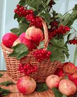 Без бренда «Плетёная корзина с калиной и яблоками» в Оренбурге