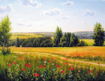 Маковое поле на летнем пейзаже