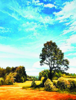 Без бренда «Осенний пейзаж с голубым небом» в Оренбурге в интернет-магазине  Без бренда «Осенний пейзаж с голубым небом» в Оренбурге