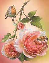 Пчёлка и птичка на розе