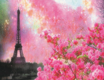 Цветущая сакура на фоне Эйфелевой башни
