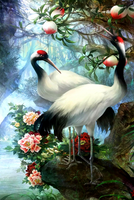 Без бренда «Коробка 25 шт. картин по номерам BOX25-GX29399» в Оренбурге в интернет-магазине Без бренда «Коробка 25 шт. картин по номерам BOX25-GX29399» в Оренбурге