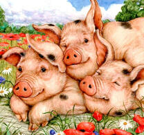 Семья поросят на фоне маков