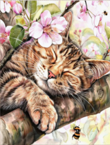 Без бренда «Волосатый котик спит на ветви яблони» в Оренбурге в интернет-магазине  Без бренда «Волосатый котик спит на ветви яблони» в Оренбурге